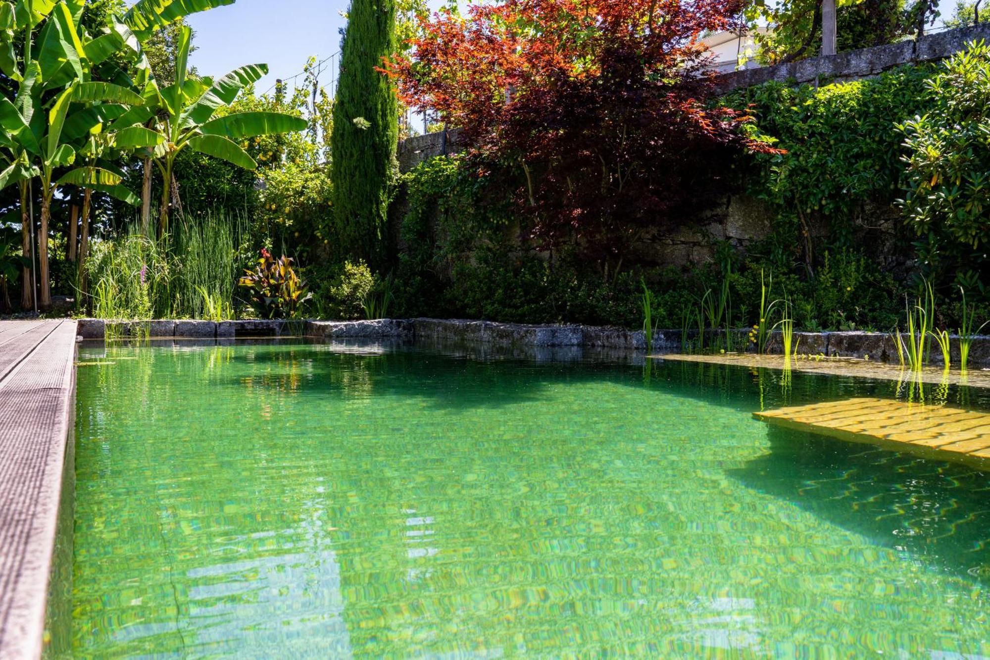 Gondomar Guimaraes - Moradia V3 Com Piscina Natural By House And People Extérieur photo
