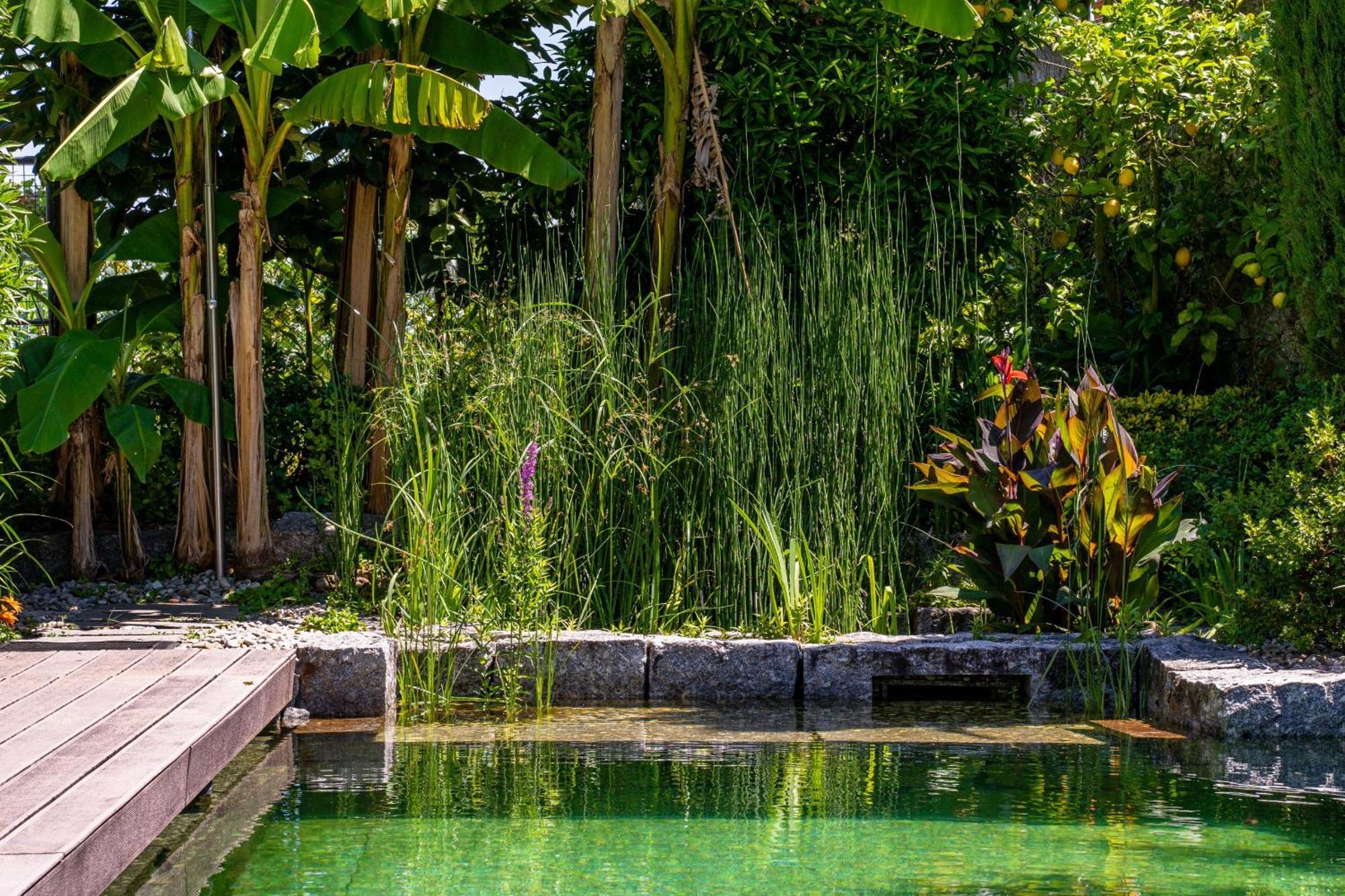 Gondomar Guimaraes - Moradia V3 Com Piscina Natural By House And People Extérieur photo
